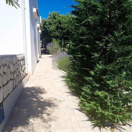 In With Two-bedrooms 1 Mandre